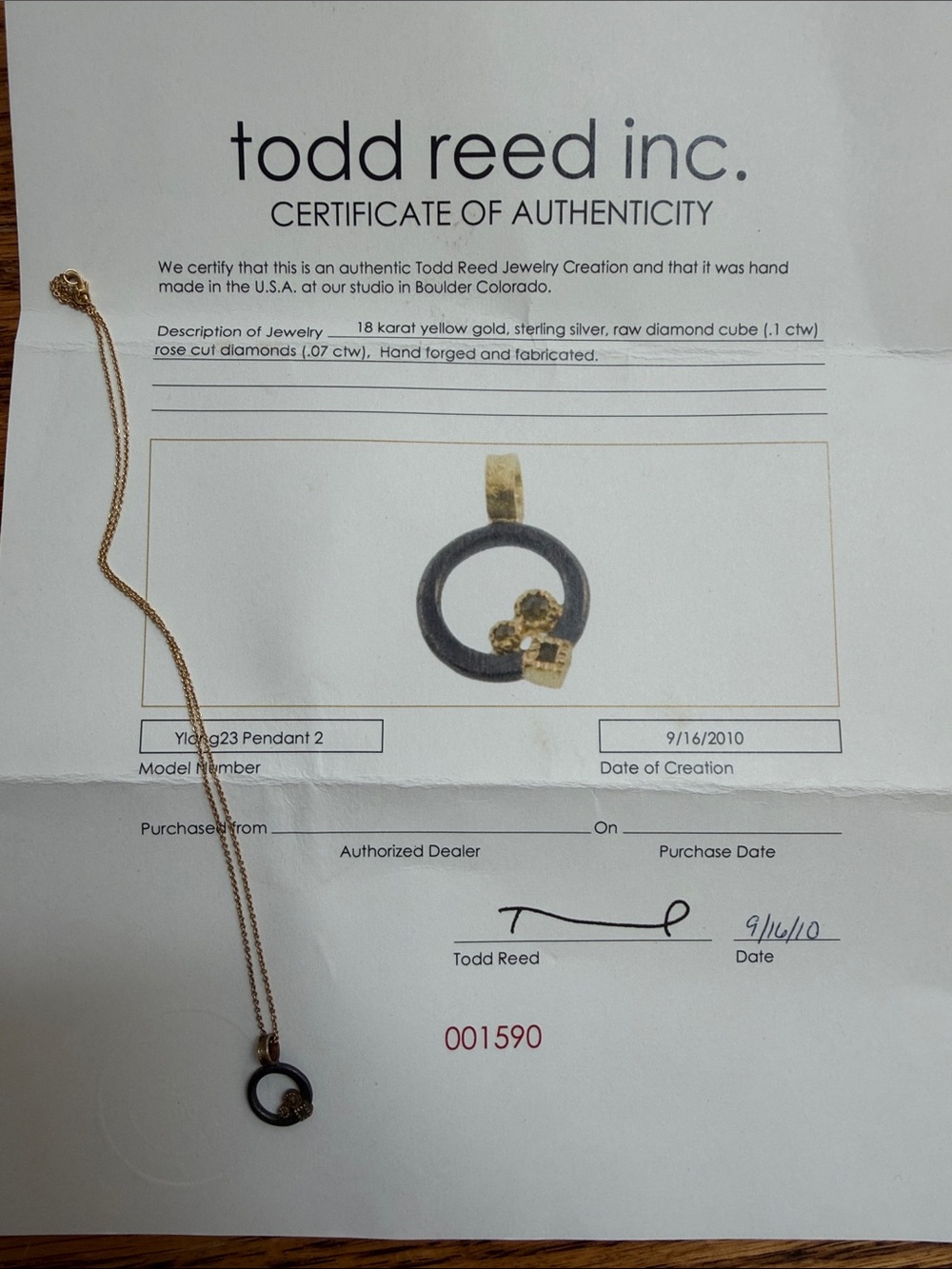 Todd Reed Gold Chain Necklace with Circle Pendant With Raw Diamonds